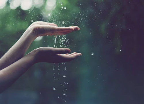 Người trí tuệ biết trân quý, biết buông tay, biết chuyển hướng