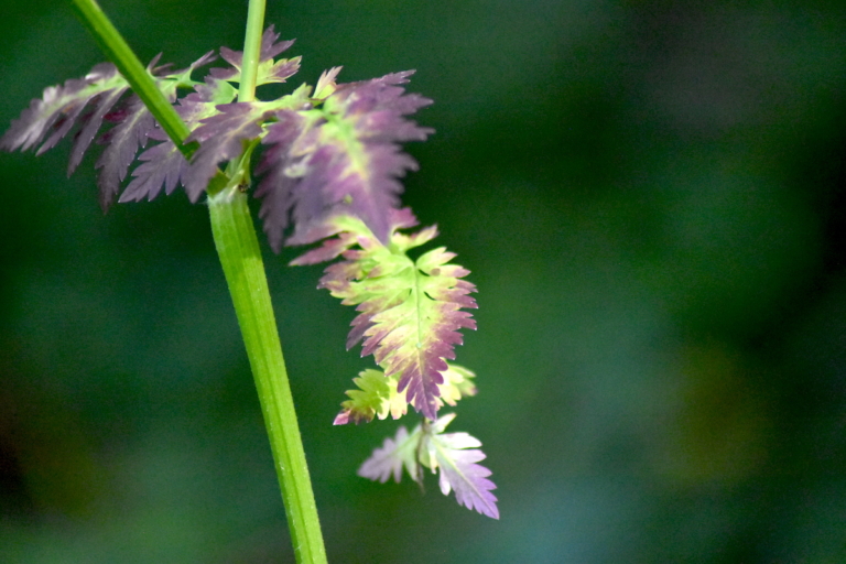 Kính trọng biểu hiện của mình