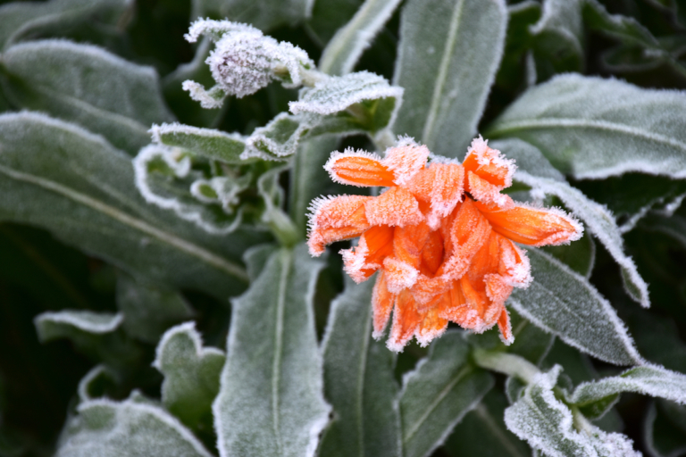 Kiểu người dễ gặp quý nhân giúp đỡ