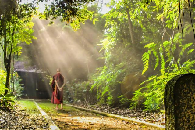 Lòng lặng thì nghiệp yên