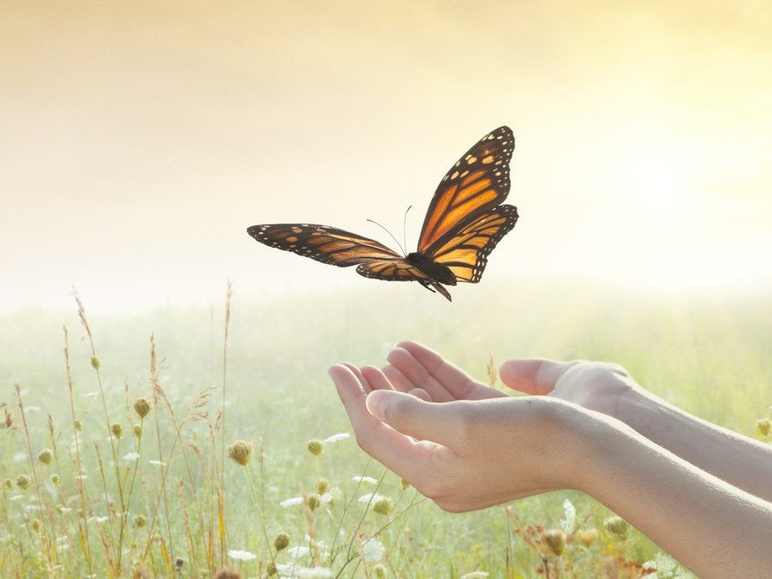 Để giảm bớt “tranh giành”, hãy quan niệm: