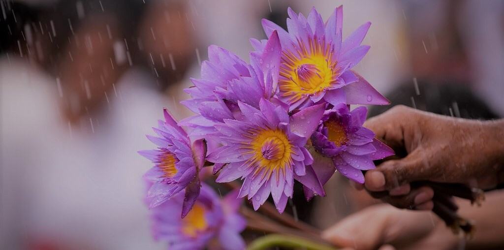 Giải tỏa oan ức