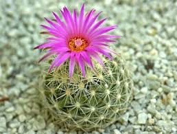 10 câu nói hay và vô cùng thấm thía của người Do Thái 