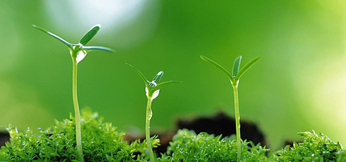 Đừng nói mà hãy làm