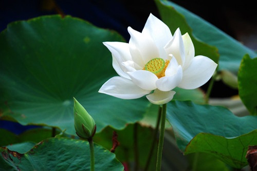 Đừng chờ đợi