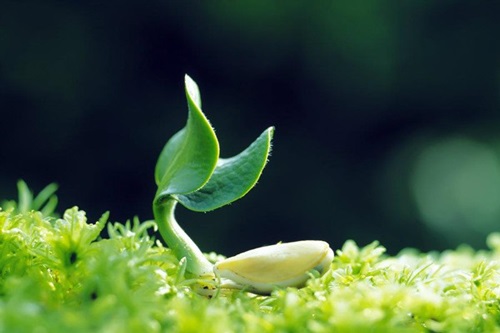 Biết cởi mở và lắng nghe nhau hơn