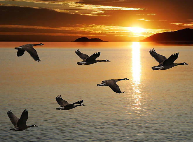 Giữ khoảng cách thích hợp