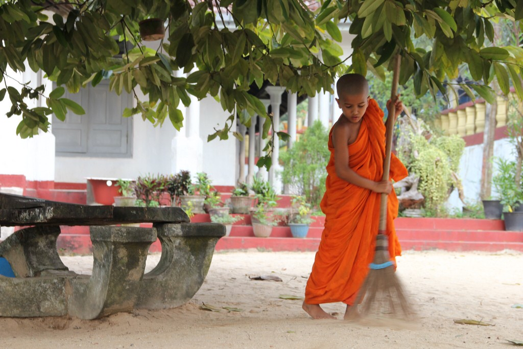 Thân cận người trí là pháp hành tạo niềm vui an lạc