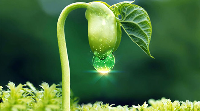 Lương thiện với người, tích phúc để đời