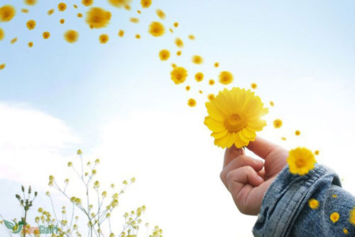 Hạnh phúc ngay ở cạnh mình