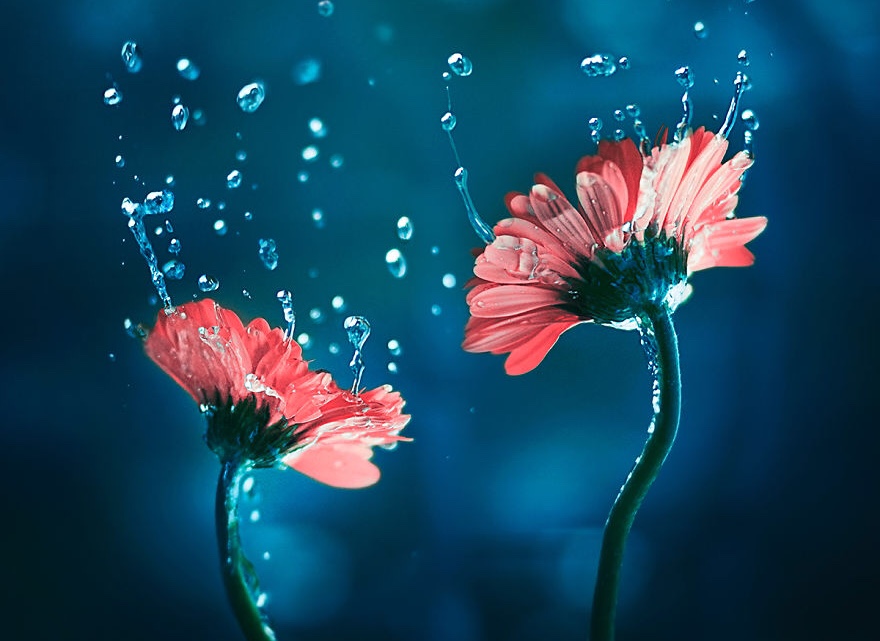 Muốn thấu hiểu một ai đó, hãy nhìn . . . 