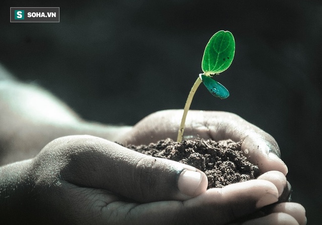 Đừng so sánh với người