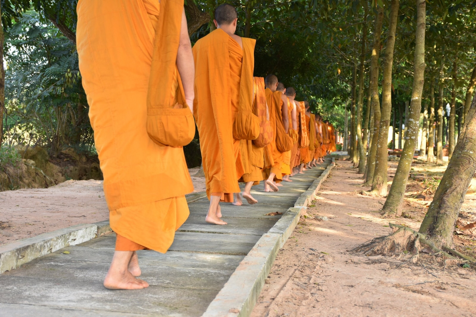 Chánh niệm, tỉnh giác trong mỗi bước chân