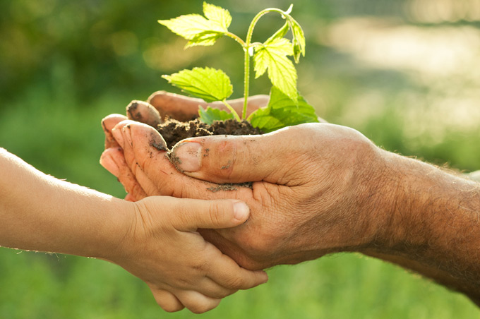 Giá trị của cuộc sống không nằm ở đồng tiền