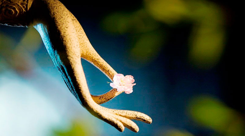 Danh lợi không phải là mãi mãi