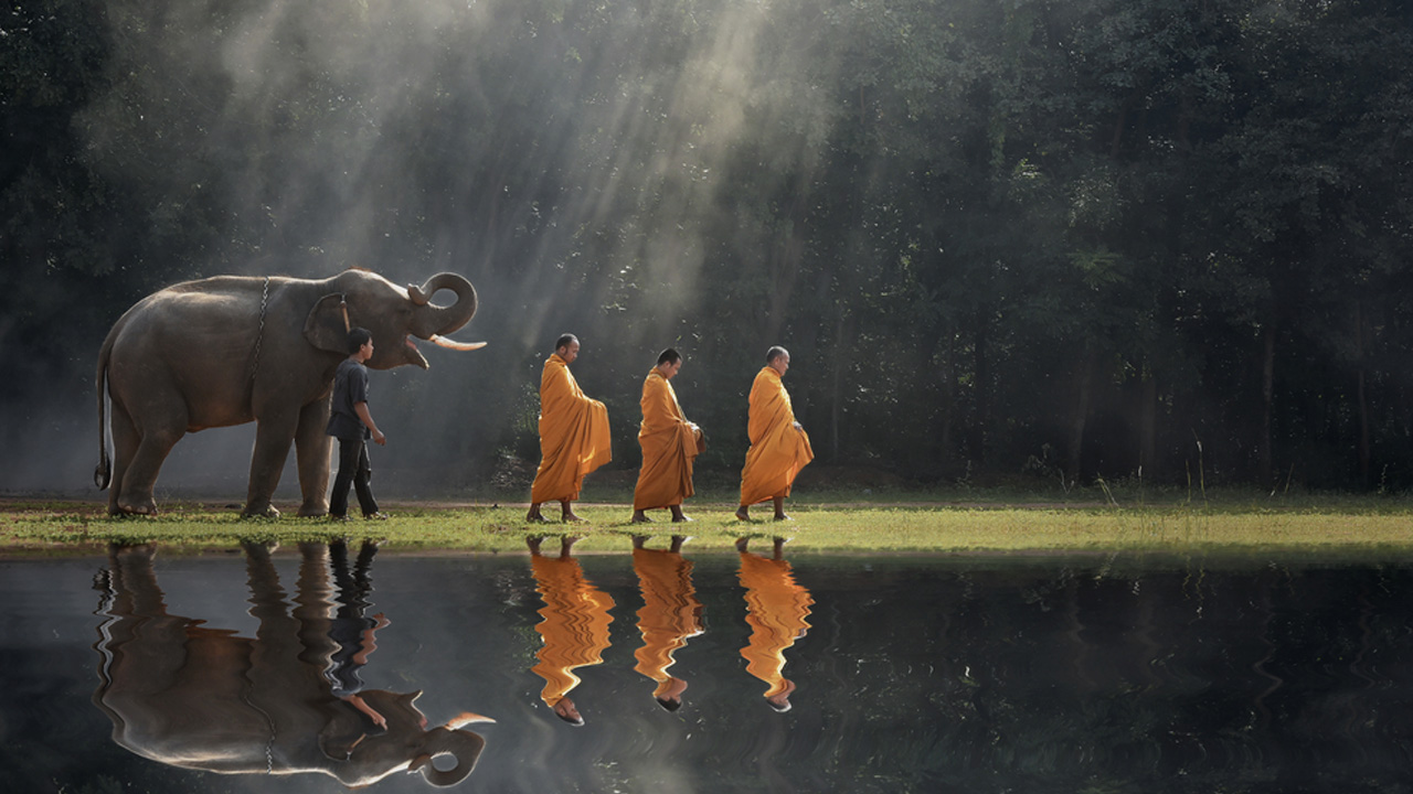 Tập sống bao dung