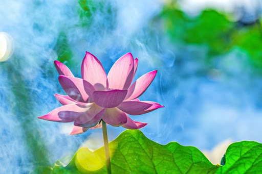 Tự tin vào chính mình