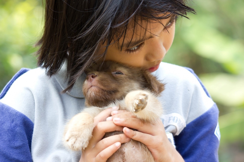 Cho đi nào có mất