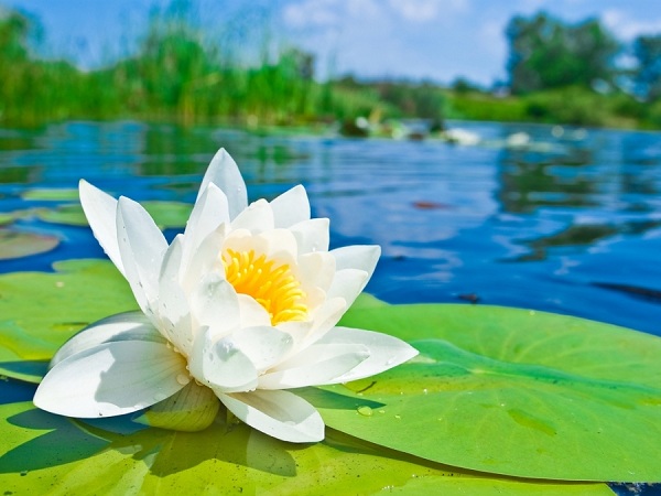 Dựa vào chính mình là tốt nhất