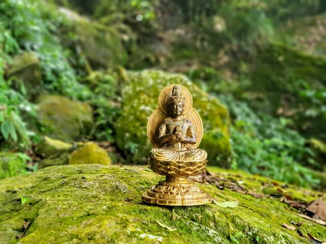 Quán Âm hay Quan Âm