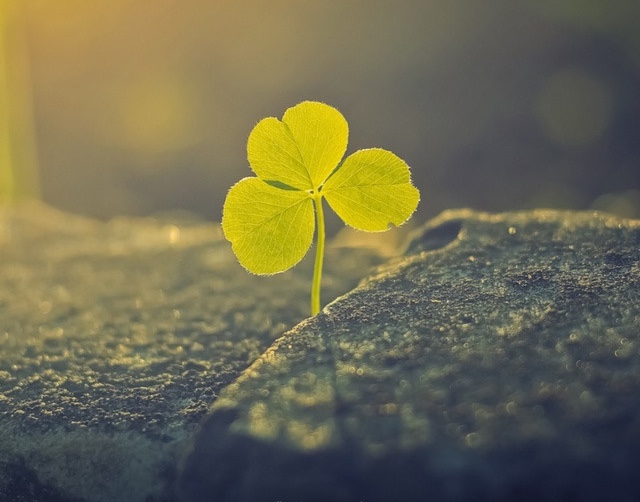 Nói lời có đức