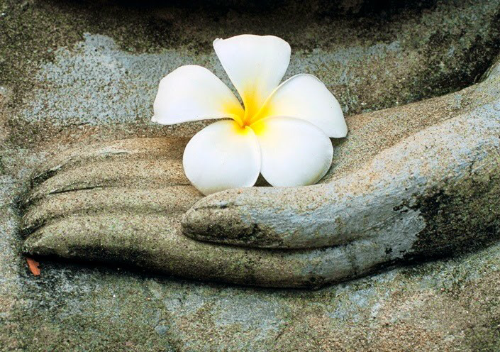 Ý Nghĩa Cuộc Sống