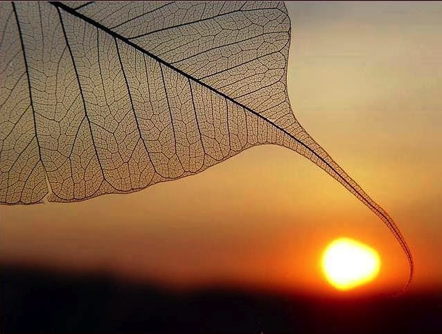 Người lái buôn và người ăn mày