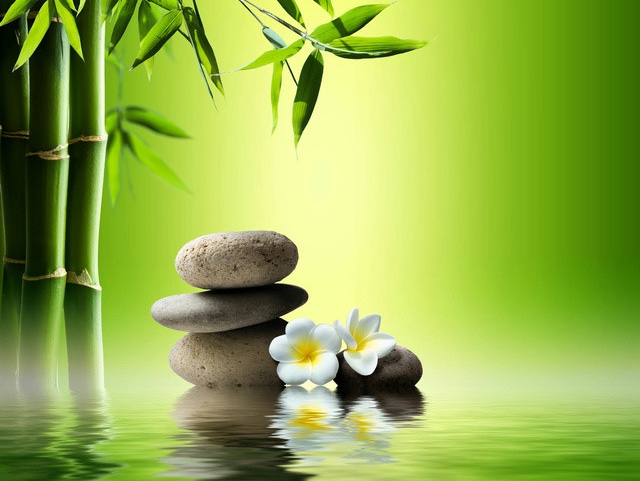 Những "lời vàng ý ngọc" giúp con người tìm được bình yên