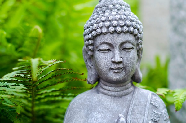 Nghiệp và số mệnh đồng hay khác?