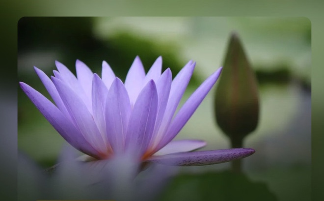 Làm người, 3 không ca