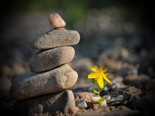 Thật tâm với cuộc sống của bản thân, mọi chuyên hãy để thuận theo tự nhiên