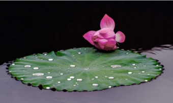 Làm người thì phải trong vuông, ngoài tròn