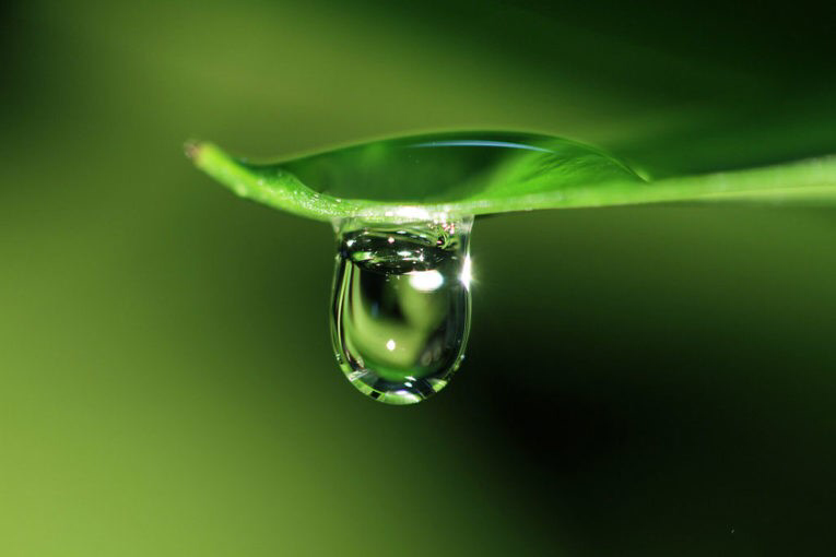 Sống ở đời, đừng bắt mình sống trong mấy lời không đâu