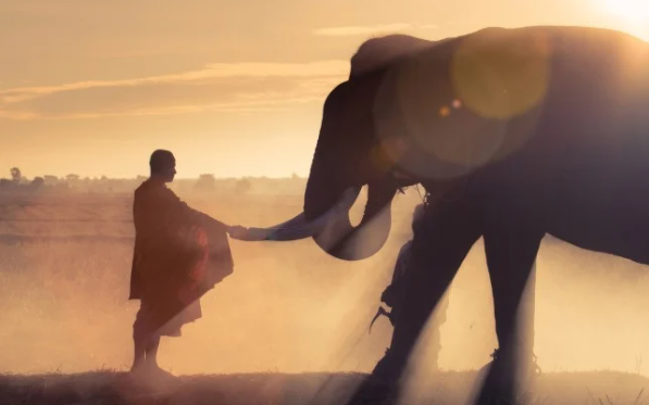  Tạo thiện nghiệp để xóa bỏ ác nghiệp