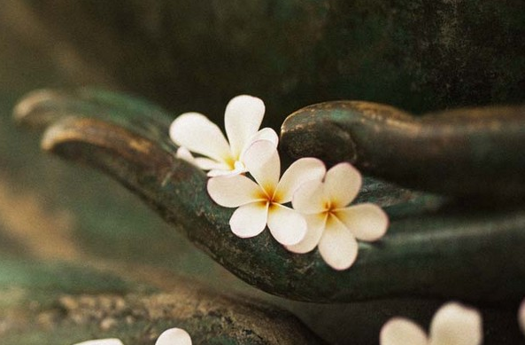 Ai đang chi phối bạn?