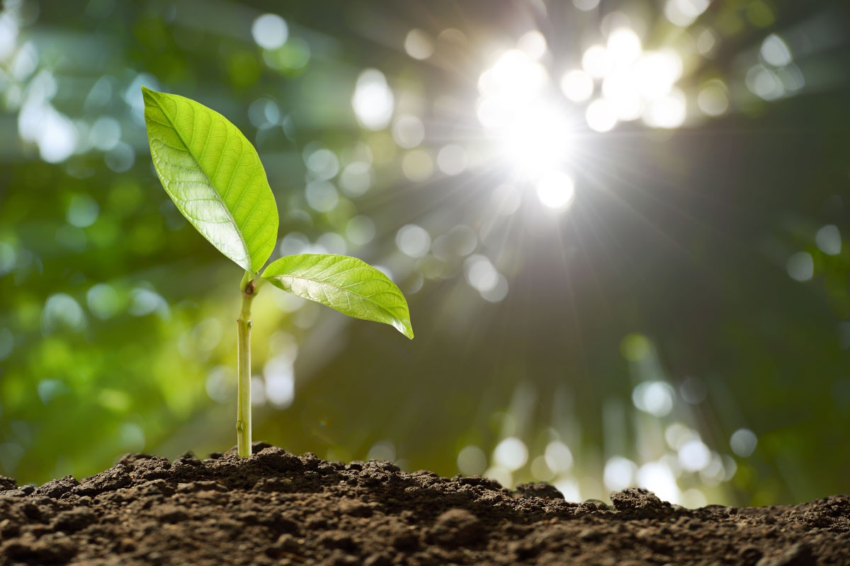 Chỉ cần được khỏe mạnh, cũng không cần đến “công danh lợi lộc”