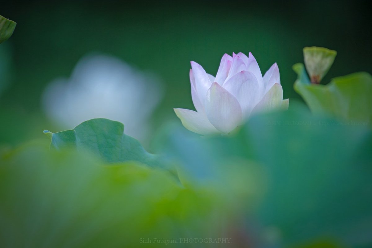 Người khôn ngoan không nói xấu