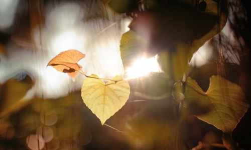 Khi còn nhỏ thì đơn giản, lớn lên trở nên phức tạp.