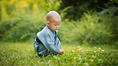 Học cách cúi đầu để nghĩ, ngẩng đầu để nhìn