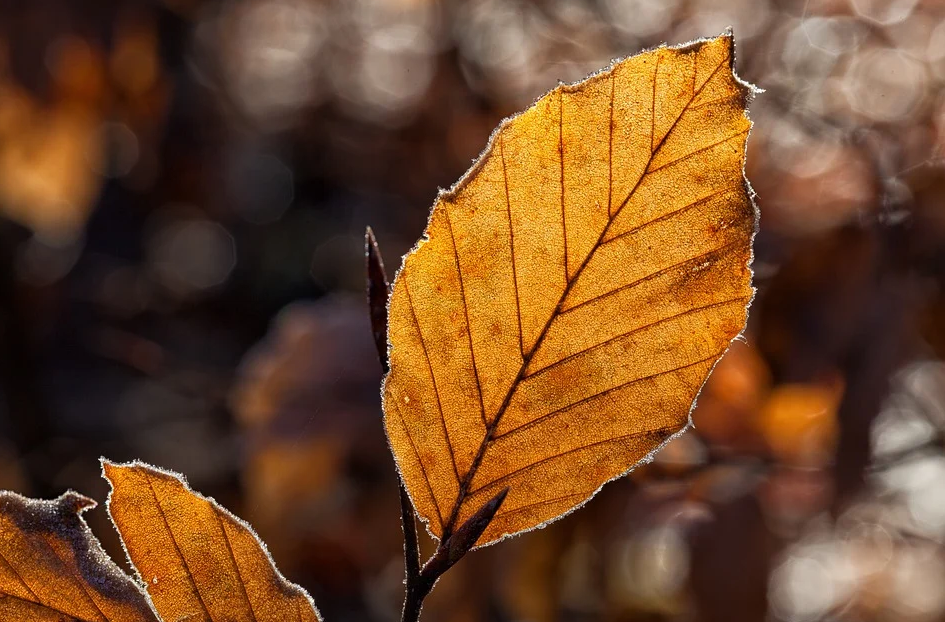 Trên đời không có gì là hoàn hảo