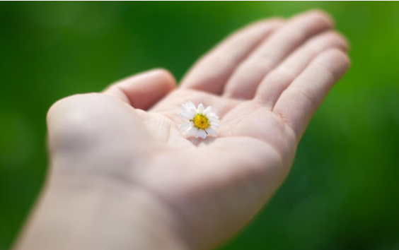 Nhược điểm của kẻ yếu