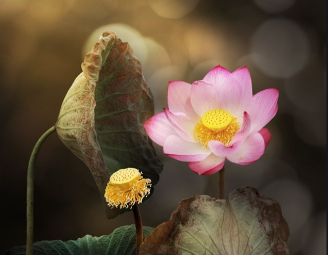 Làm người nên có thủy có chung