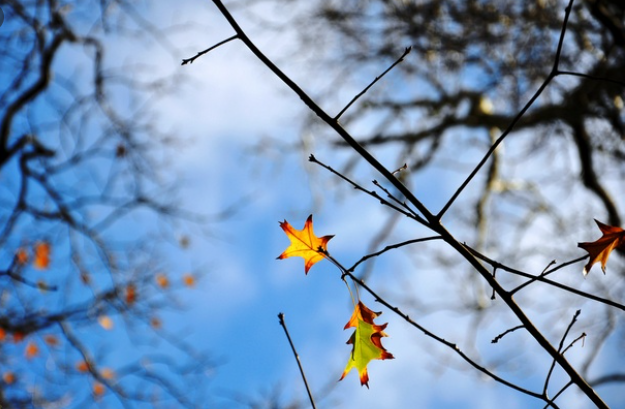  Làm thế nào khi mất người thương?