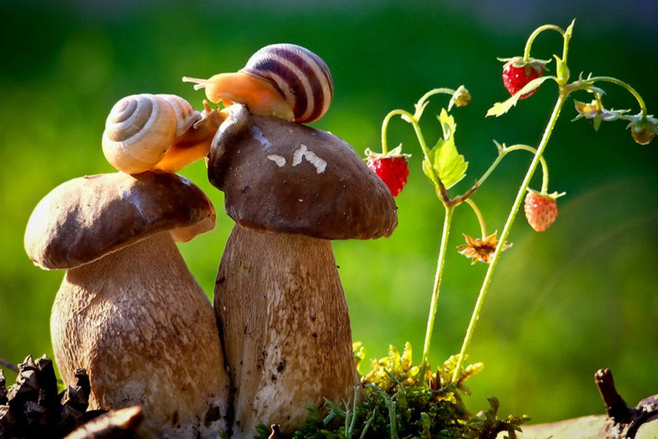 Chớ khóa kín lòng mình