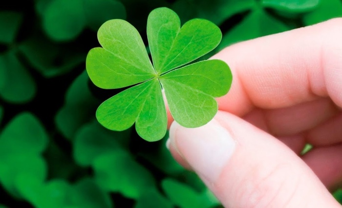 Hiểu mình để vui sống