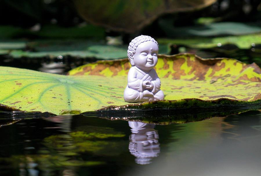 Chẳng mấy ai trong chúng ta biết dừng đúng lúc