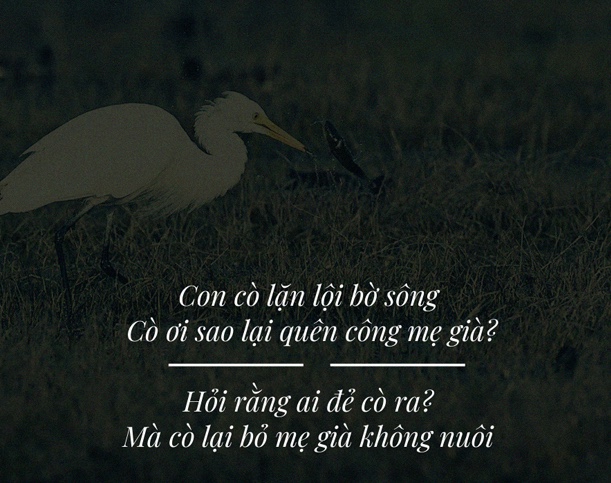 Cò ơi sao lại quên công mẹ già