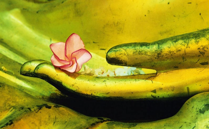 Có cho đi mới có thể nhận lại