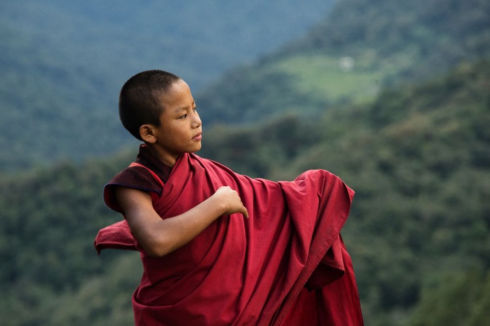 Oán hận là tự hại mình, sao còn không buông bỏ đi?