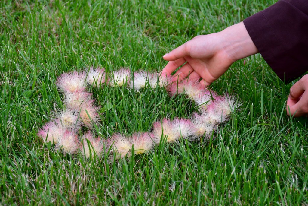 Quan sát và lắng nghe